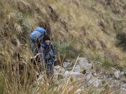 Inca Trail